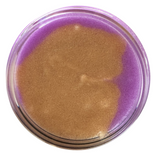 Royalty Hand / Foot / Body Scrub